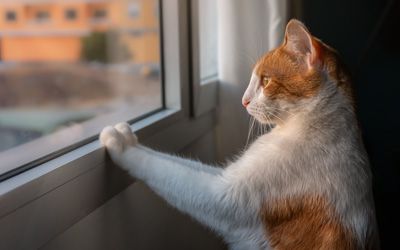 pvc κουφώματα τιμές