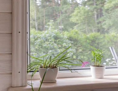 Σίτες παραθύρων και μπαλκονόπορτας